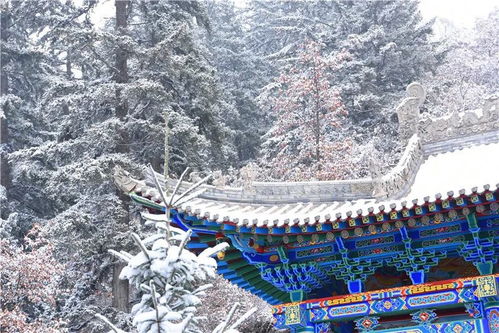 北京多地昨夜降雪，一场浪漫与惊喜交织的冬日盛景